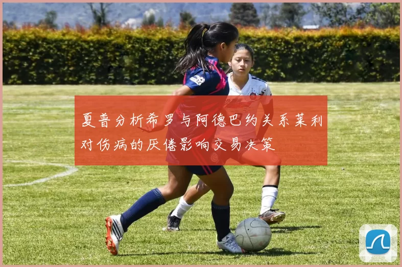 夏普分析希罗与阿德巴约关系莱利对伤病的厌倦影响交易决策