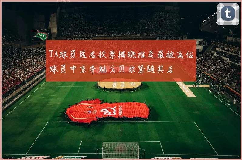 TA球员匿名投票揭晓谁是最被高估球员申京夺魁戈贝尔紧随其后