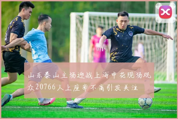 山东泰山主场迎战上海申花现场观众20766人上座率不高引发关注